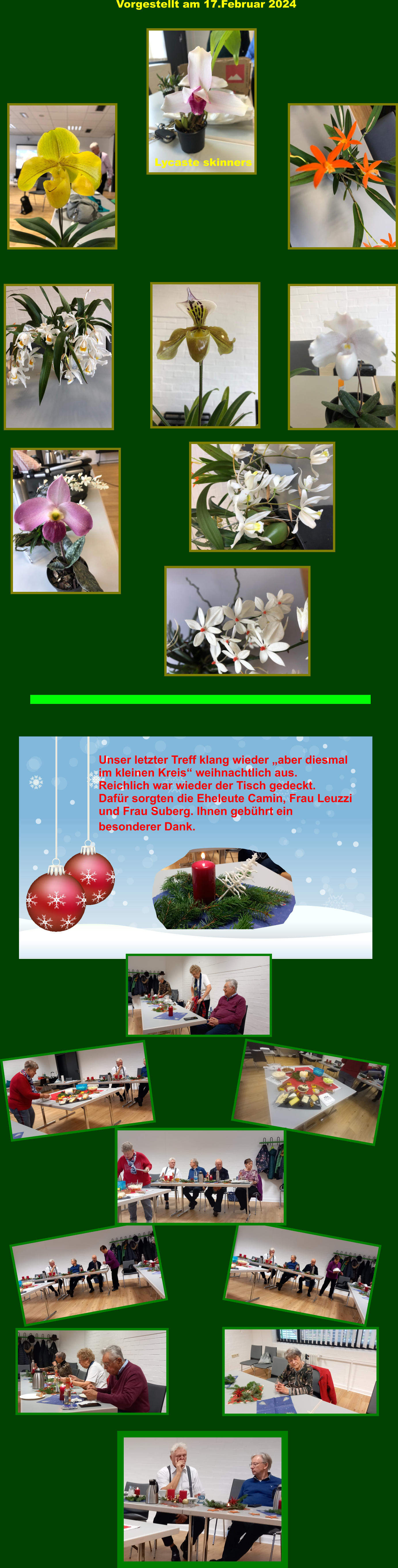 Unser letzter Treff klang wieder „aber diesmal im kleinen Kreis“ weihnachtlich aus. Reichlich war wieder der Tisch gedeckt. Dafür sorgten die Eheleute Camin, Frau Leuzzi und Frau Suberg. Ihnen gebührt ein besonderer Dank.     Vorgestellt am 17.Februar 2024 Lycaste skinners